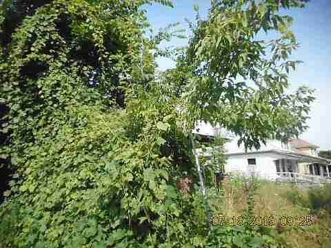 5421 Garland (7)_m.jpg